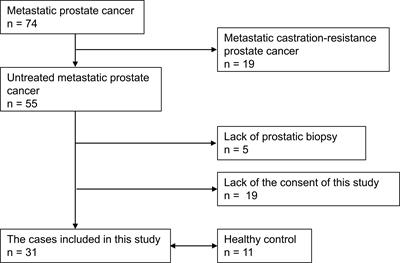 Circulating PMN-MDSC level positively correlates with a poor prognosis in patients with metastatic hormone-sensitive prostate cancer